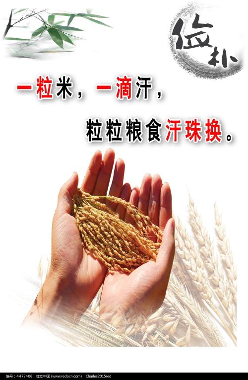 佩珀代因大学国际商务文凭证书